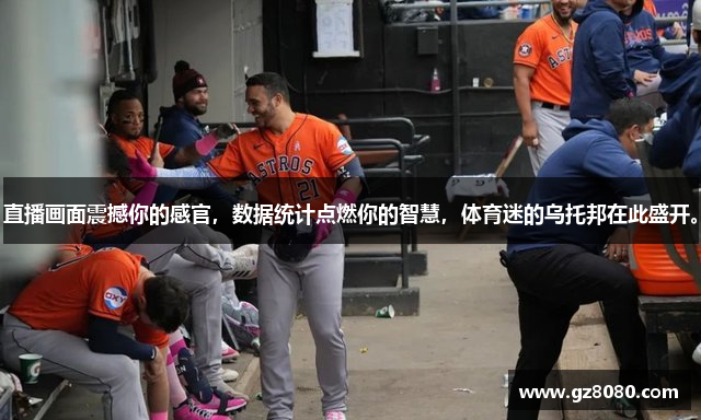 ky体育官网下载官方版下载